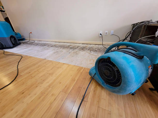 Professional Burst Pipe Water Damage technician working in Orcas, WA